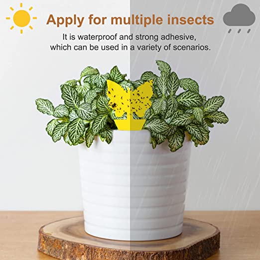 Reusable Dual-Sided Sticky Fly Traps 20 pcs
