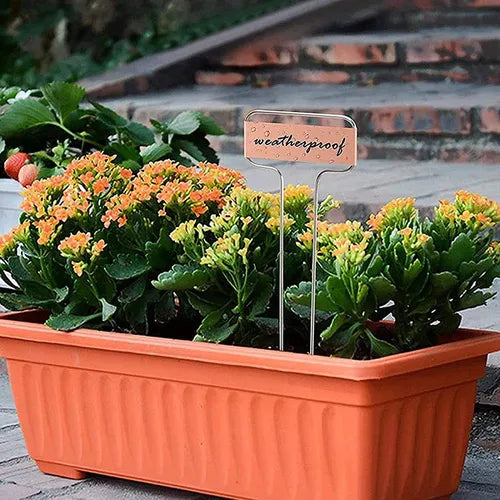 Metal Plant Labels with Markers Set 25 pcs