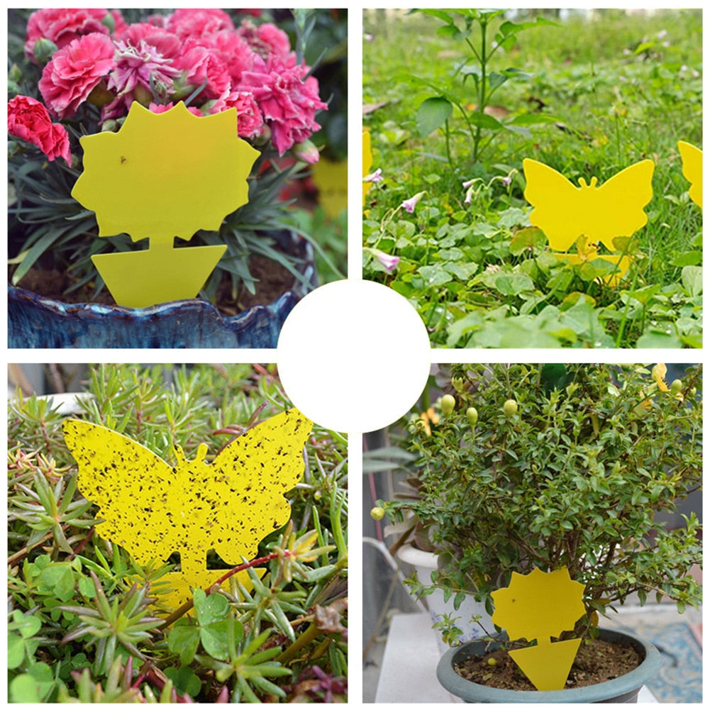 Reusable Dual-Sided Sticky Fly Traps 20 pcs