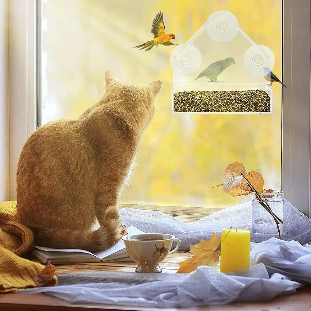 Transparent Bird Feeder